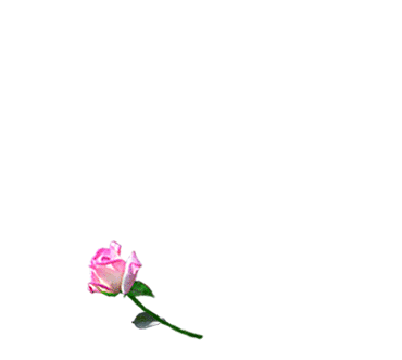 N'arrêtez jamais... Gif-anime-fleur-4-gratuit
